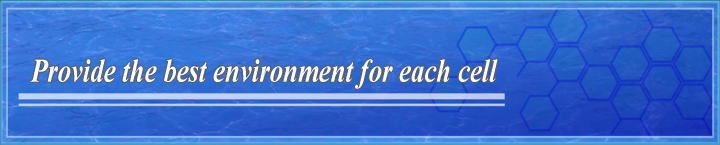 Provide the best environment for each cell